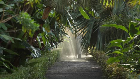 Mann-Gießt-Die-Tropischen-Pflanzen-Im-Botanischen-Garten-In-Puerto-De-La-Cruz