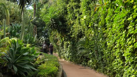 Middle-age-couple-walking-in-the-tropical-forest-of-Loro-Parque-zoo