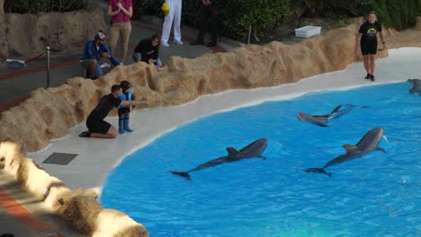 Lustiger-Moment:-Delfin-Schenkt-Einem-Kleinen-Kind-Eine-Blume,-Das-Es-Zurück-In-Den-Pool-Wirft