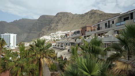 Apartments-in-Los-Gigantes-town,-Palm-trees-in-foreground,-Mountains-in-background