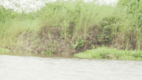 Pescador-Lanzando-Su-Red-En-El-Río-En-Benin,-África.