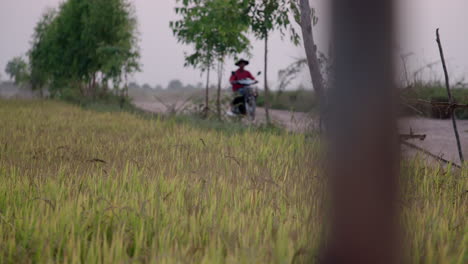 Hombre-Conduciendo-Una-Motocicleta-En-Una-Pequeña-Carretera-Rural-Camboyana