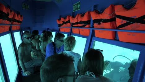 Taucher-Zeigt-Den-Touristen-Durch-Die-Unterwasserfenster-Eines-Ausflugsbootes-Eine-Krabbe
