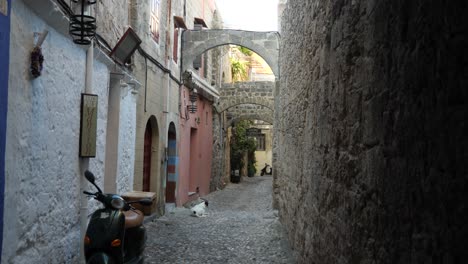 Empty-narrow,-rocky-street-in-the-Old-Town-of-Rhodes-with-sitting-dog