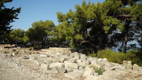 Stone-ruins-of-the-Acropolis-of-Kamiros-surrounded-by-pine-trees