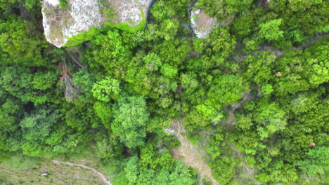 Breathtaking-aerial-panorama-revealing-Vikos-Gorge-in-Zagori,-Epirus,-Greece