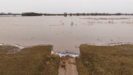 Inundaciones-En-El-Río-Waal,-Gorinchem,-Países-Bajos