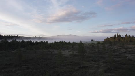 Norwegian-forest-landscape-with-morning-fog-over-distant-lake-AERIAL-SHOT