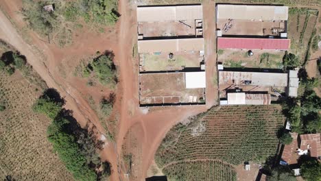 Farmland-homestead-on-corn-plantations-in-Southern-Kenya,-aerial-top-down