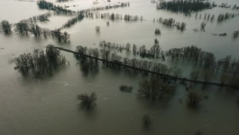 Drone-view-of-water-filled-a-floodplain-along-the-Waal-River-in-Varik,-Gelderland,-Netherlands