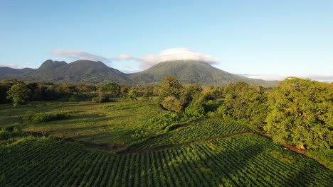 Drone-flight-above-fields-an-trees-towards-Arenal-Volcano-in-Costa-Rica