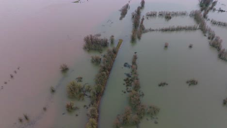 Drone-shot-of-floodwaters-around-the-river-Waal-at-Gorinchem,-Netherlands