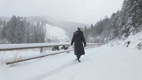 Persona-Caminando-Por-Un-Camino-Nevado-A-Lo-Largo-De-La-Valla-De-Madera-En-Invierno