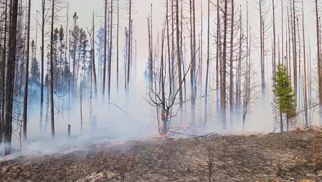 Drone-Siguiendo-El-Humo-De-Un-Incendio-Forestal-Que-Avanza-A-Través-Del-Bosque-En-Alberta