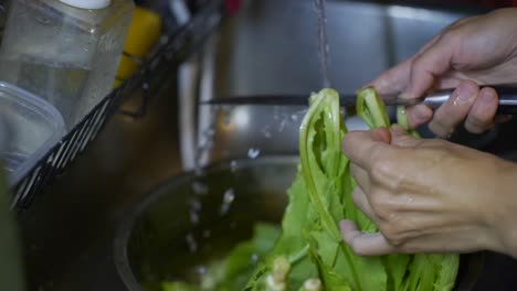 Leafy-green-asian-vegetable-being-washed-by-stream-of-tap-water-and-cut-by-knife,-filmed-as-closeup-shot-in-slow-motion-style