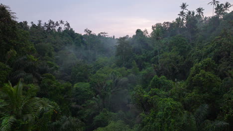 Luftdrohne-Vorwärts-über-Dem-Ubud-Dschungel-Von-Bali-In-Indonesien