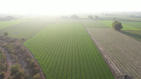 Aerial-drone-view-drone-camera-moving-upwards-with-sun-rays-falling-on-many-fields-around