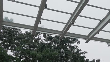 Raindrops-running-of-off-glass-roof-during-tropical-monsoon-with-tree-background