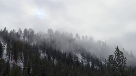 Dunstiger-Waldberg-Im-Winter-Im-Boise-National-Forest,-Idaho,-Vereinigte-Staaten