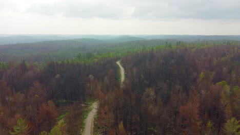 Lonely-road-cuts-through-devastation-of-Kirkland-Lake-Forest-Fire,-Canada