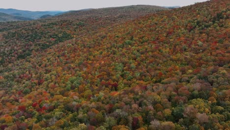 Flug-über-Farbenfrohe,-Dichte-Herbstwälder-In-Den-Vereinigten-Staaten---Drohnenschuss