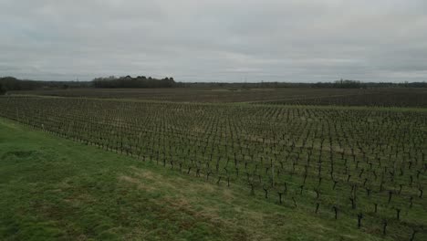 Drone-shot-over-Pugnac-vineyards,-Bordeaux