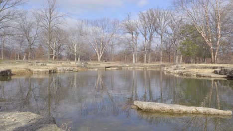 Still-pond-in-a-park