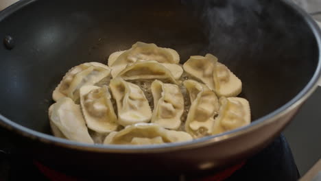 Chinese-dumpling-traditional-homemade-healthy-asiatic-food-cooked-in-a-pan-at-home