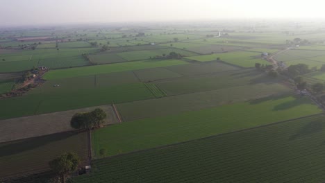 Aerial-drone-view-is-looking-towards-the-drone-camera-side-many-fields-and-small-roads-are-visible