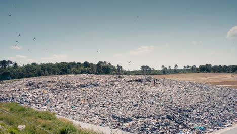 Panoramablick-Auf-Eine-Mülldeponie-Mit-Vögeln-Auf-Der-Suche-Nach-Nahrung