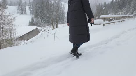 A-Person-In-Winter-Coat-Walking-During-Snowy-Daytime-Near-Countryside