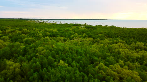 Aerial-drone-shot-flying-over-mangroves-to-reveal-sun-setting-or-sunrise-over-the-ocean