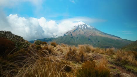Mount-Taranaki's-grace-with-wind-blown-grass-in-mesmerizing-stock-footage