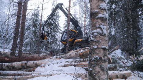 Forest-machinery-working-in-winter,-cold-freezing-day,-static-view