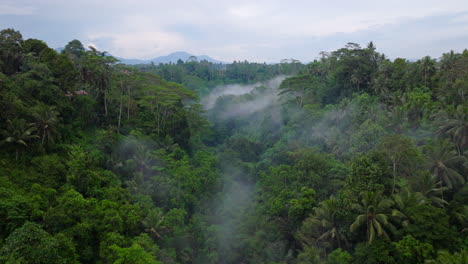 Birdseye-view-of-Ubud-rainforest-of-Bali-in-Indonesia