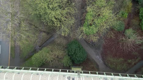 Aerial-top-down-shot-of-trees-near-streets-of-Scarborough-bay-during-cold-winter-morning-in-Scarborough,-England