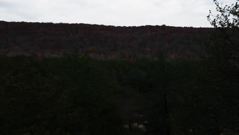 Herbstfarben-Am-Bach-Bei-Sonnenuntergang-In-Arkansas,-USA
