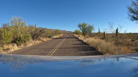 Standpunkt---Fahrt-Durch-Den-Saguaro-Nationalpark-In-Arizona