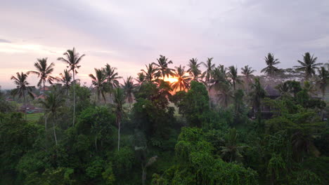 Ubud-Jungle-of-Bali-in-Indonesia-at-sunset,-aerial-drone-view