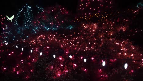 Anordnung-überwiegend-Roter-Weihnachtslichterketten,-Die-Nachts-über-Einem-Blumenbeet-In-Einem-Garten-Gestochen-Werden,-Um-Die-Festliche-Jahreszeit-Zu-Feiern-Und-Mit-Hunderten-Von-Lichtern-Ein-Warmes-Leuchten-Zu-Erzeugen