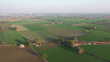 Aerial-drone-view-showing-many-different-crops-sown-in-the-field-and-different-crops-such-as-onion-wheat-are-sown-in-the-field