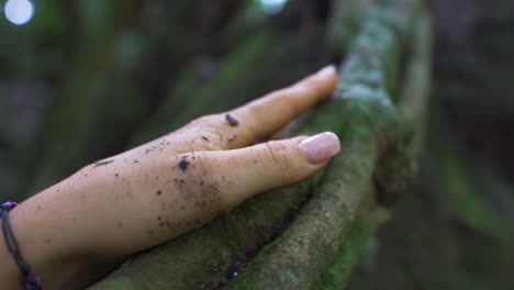 Close-up-shot-of-women-hands-touching-tree-in-nature
