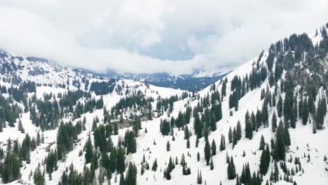 Vista-Aérea-De-Las-Montañas-De-Utah-Cubiertas-De-Nieve-En-Invierno