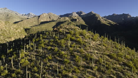 Mountainous-drone-footage-with-cacti