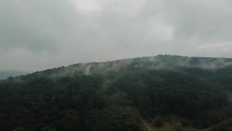 Unheimliche-Nebelschwaden-Kriechen-Tief-In-Der-Wildnis-über-Die-Baumkronen