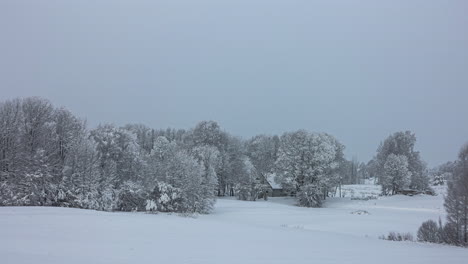 Snow-covered-rural-landscape,-house-hidden-in-trees-with-bad-weather-closing-in