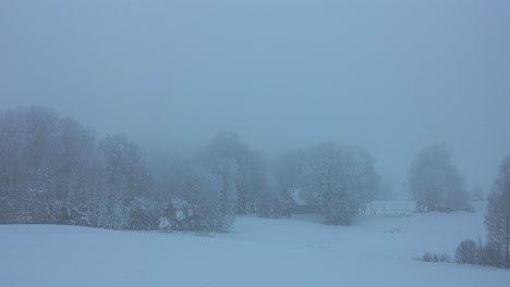 Schneesturm-In-Einem-Ländlichen-Dorf,-Umgeben-Von-Dichten-Bäumen