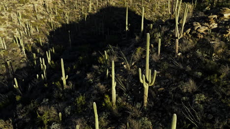Dramatic-drone-footage-looking-down-on-shadows-on-sonoran-desert
