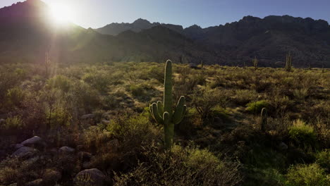 Drone-footage-exploring-the-Sonoran-Desert-from-above