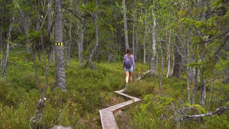 Woman-hikes-through-the-forest